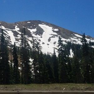 Meet your Posher, Djen